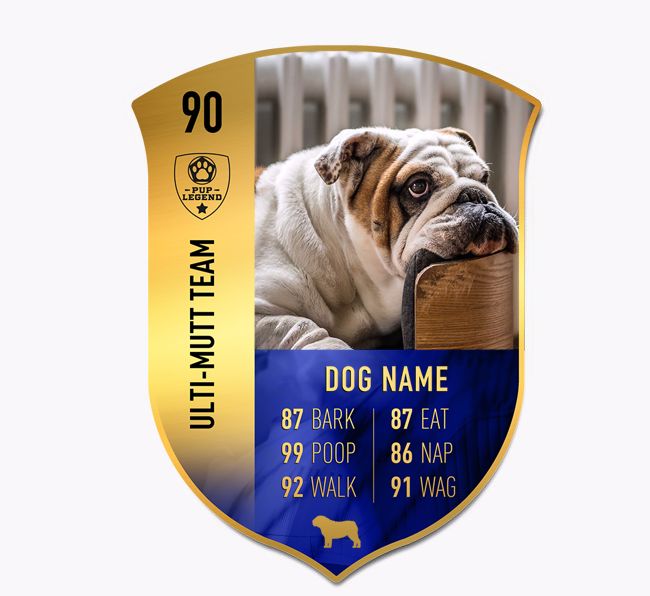 Football Inspired: Personalised {breedFullName} Photo Upload Metal Shield